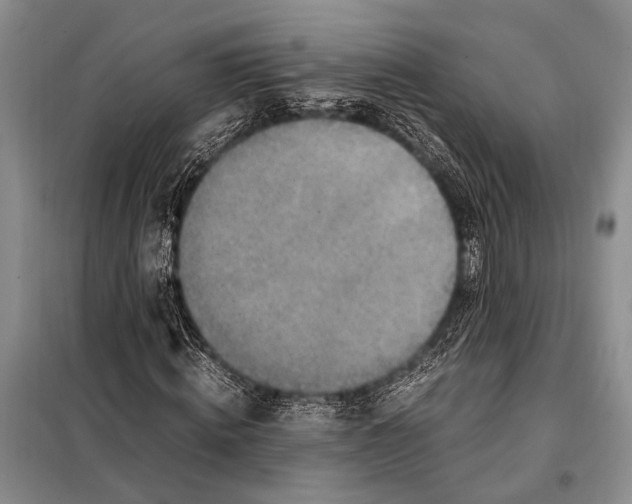 X0000097880820200804110948