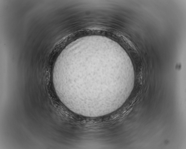 X0000097880821200804110948