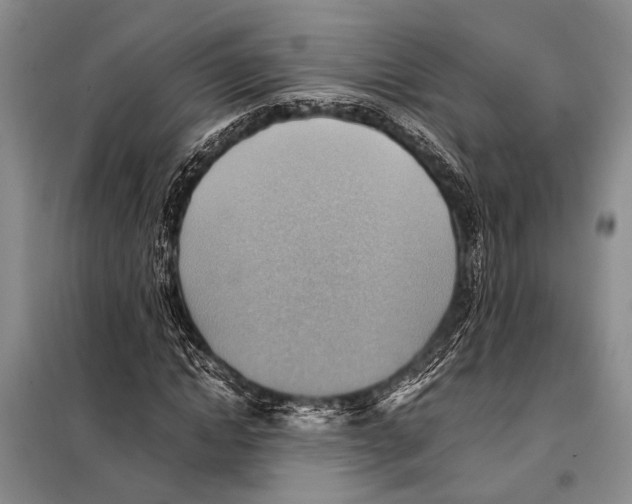 X0000097880822200804110948