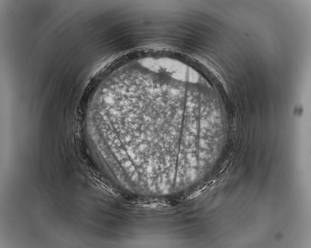 X0000097880823200804110948