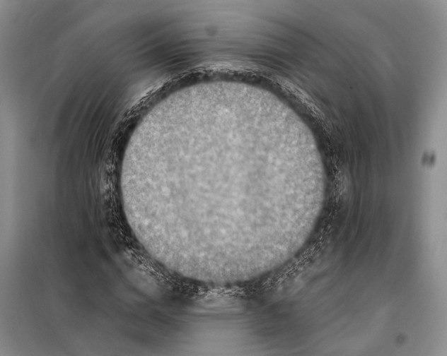 X0000097880824200804110948