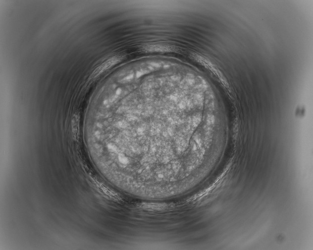 X0000097880825200804110948