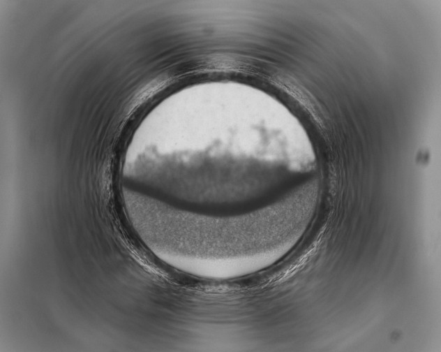 X0000097880826200804110948