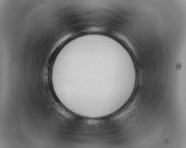 X0000097880827200804110948