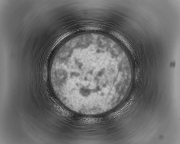 X0000097880829200804110948