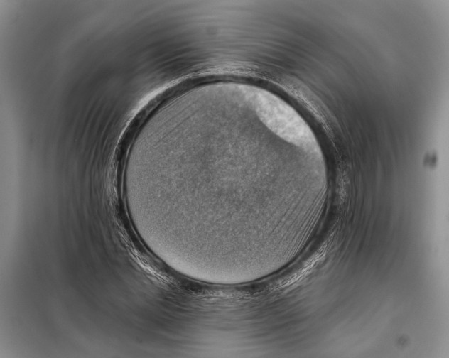 X0000097880830200804110948