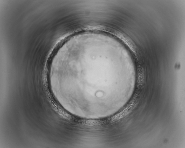 X0000097880832200804110948