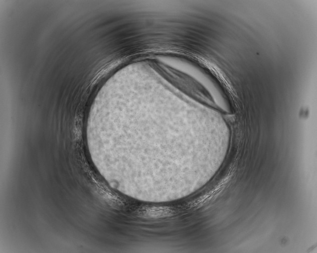 X0000097880833200804110948