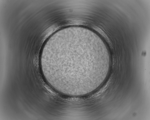 X0000097880834200804110948