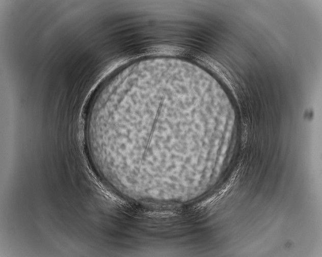 X0000097880835200804110948