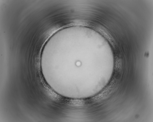 X0000097880836200804110948