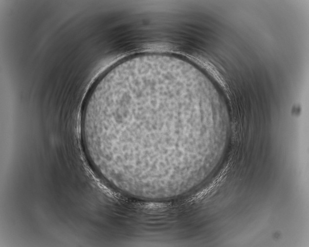 X0000097880839200804110948