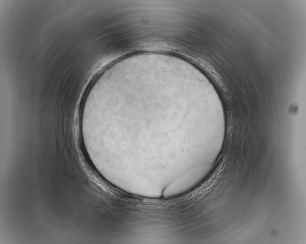 X0000097880840200804110948