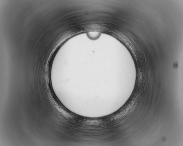 X0000097880843200804110948