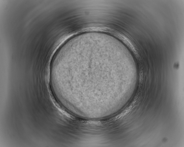 X0000097880844200804110948