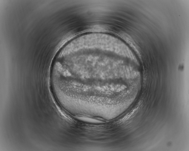 X0000097880845200804110948