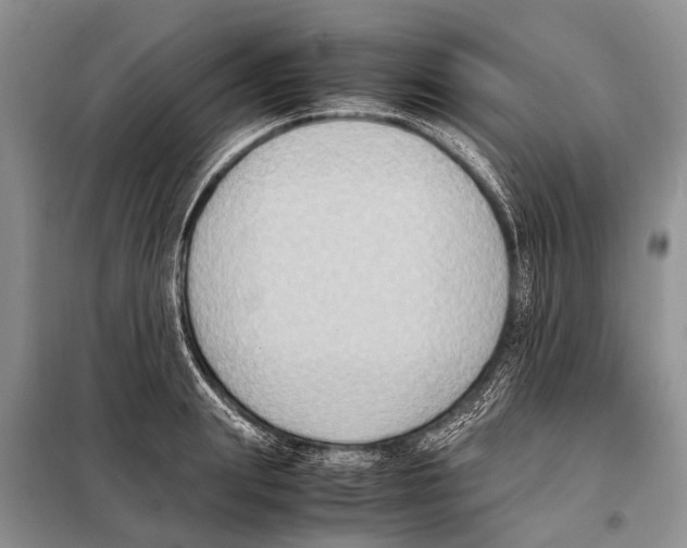 X0000097880847200804110948