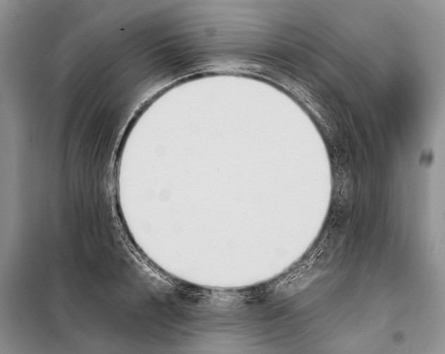 X0000097880848200804110949