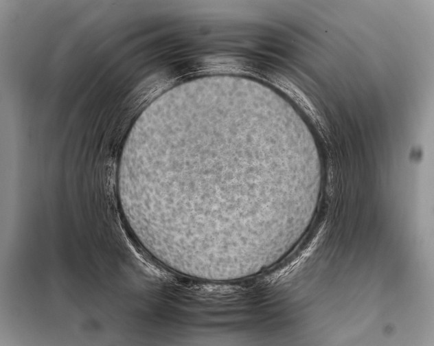 X0000097880849200804110949