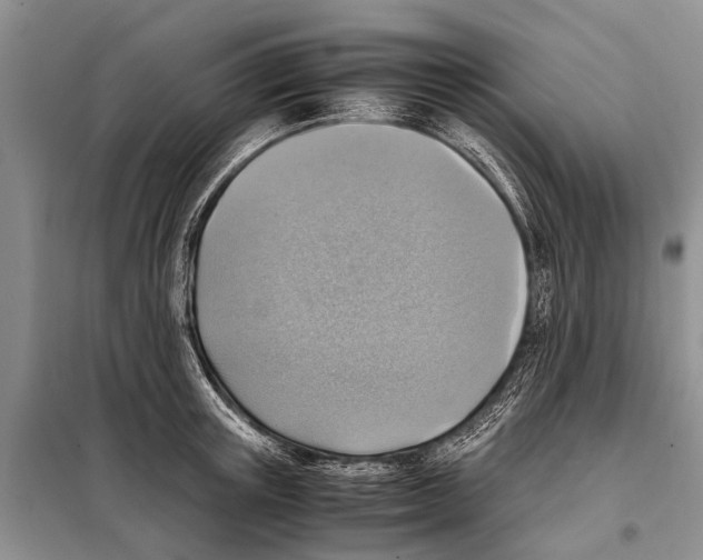 X0000097880851200804110949