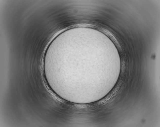 X0000097880852200804110949