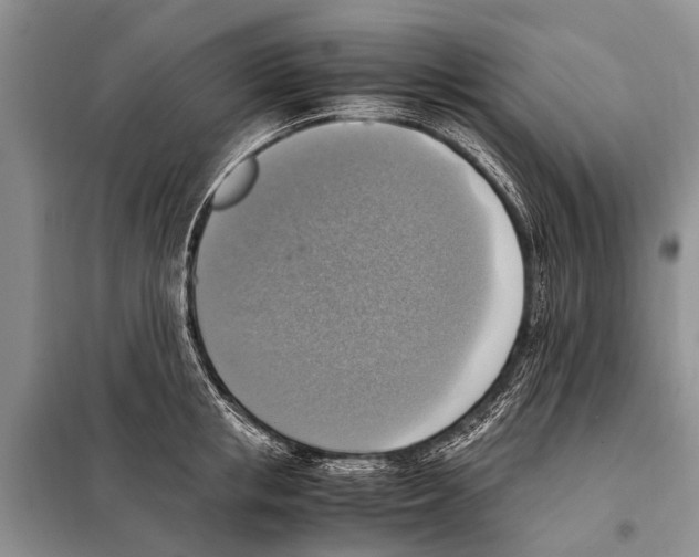 X0000097880853200804110949