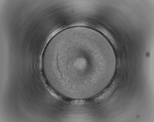 X0000097880858200804110949