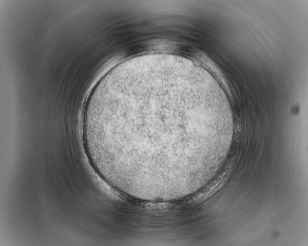 X0000097880859200804110949