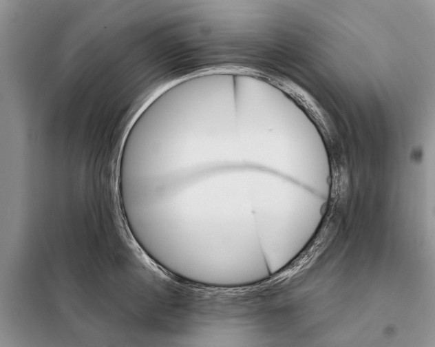 X0000097880860200804110949