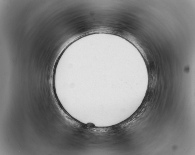 X0000097880861200804110949