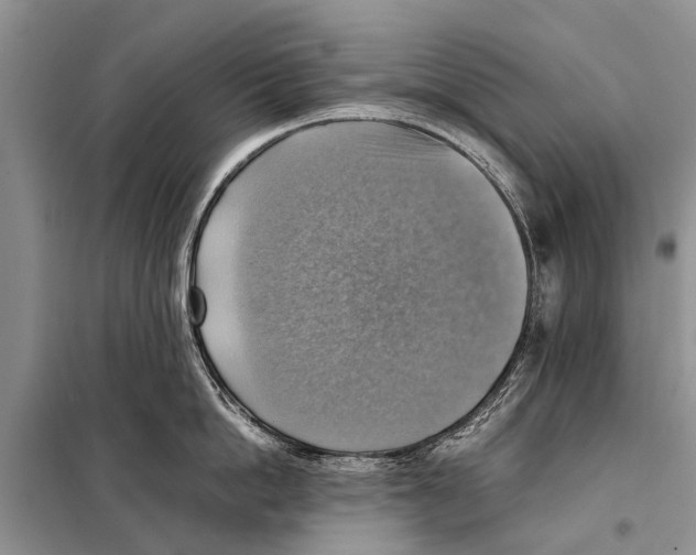 X0000097880862200804110949