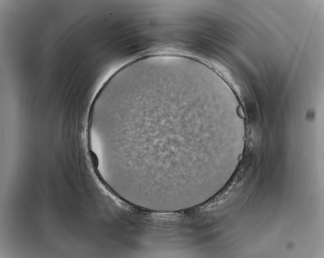 X0000097880863200804110949