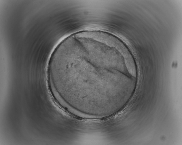 X0000097880864200804110949