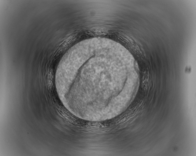 X0000097880866200804110948