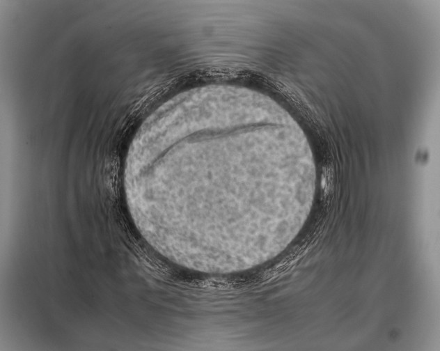 X0000097880867200804110948