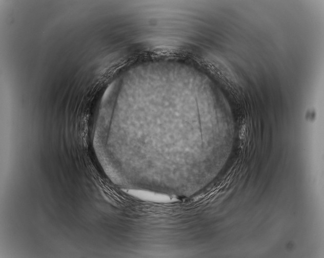 X0000097880868200804110948