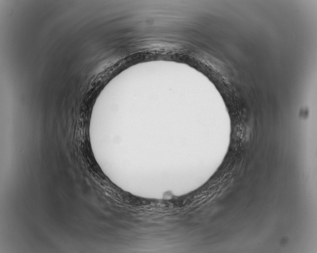 X0000097880869200804110948