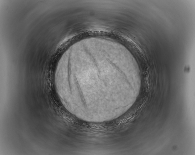 X0000097880870200804110948