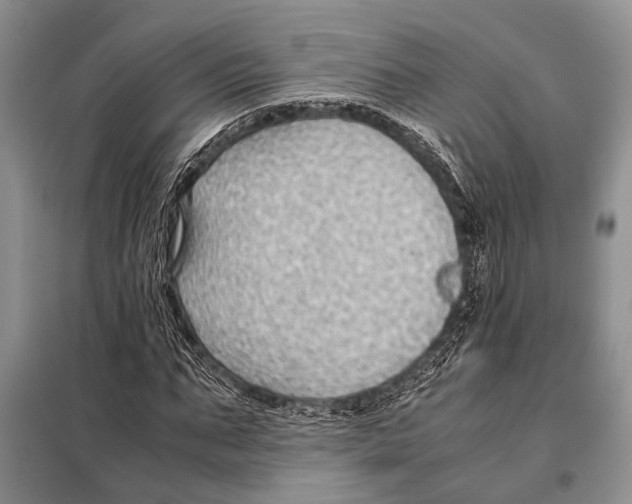 X0000097880871200804110948