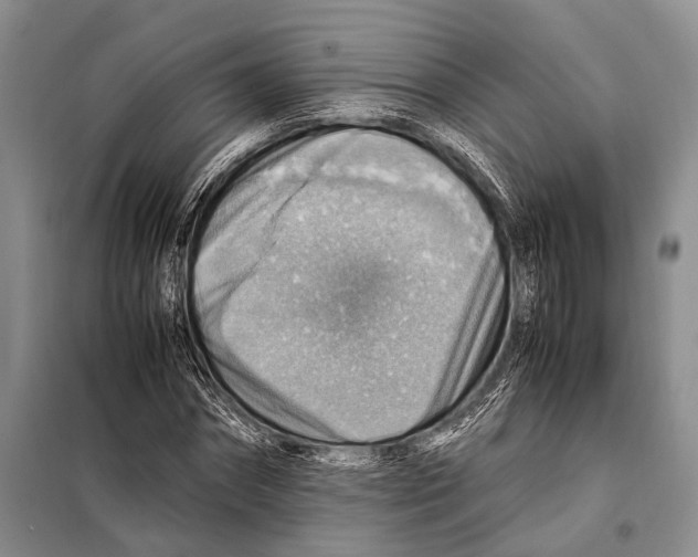 X0000097880874200804110948