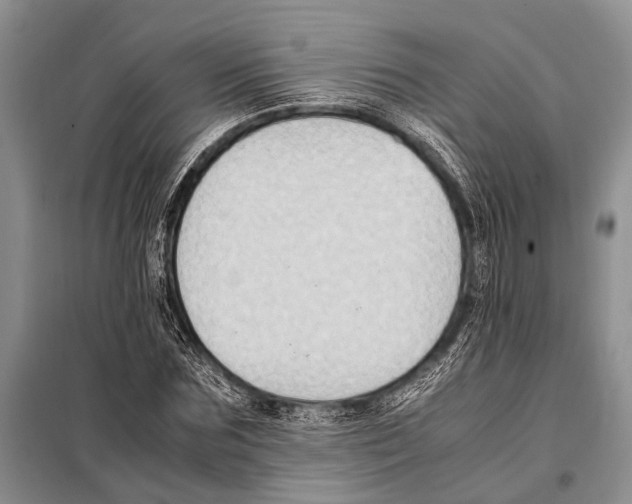 X0000097880875200804110948