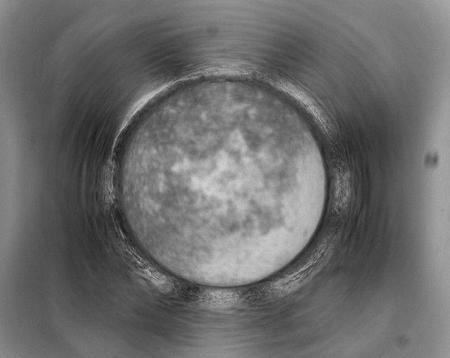 X0000097880878200804110948