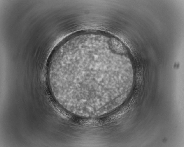 X0000097880879200804110948