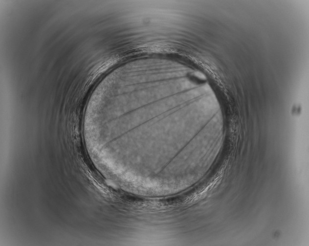 X0000097880881200804110948