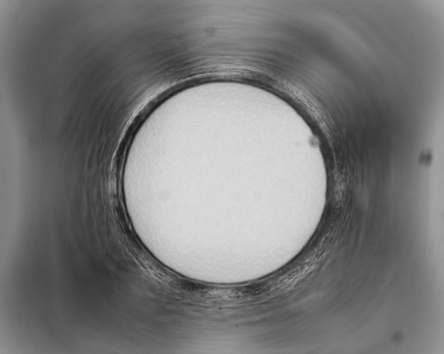 X0000097880883200804110948