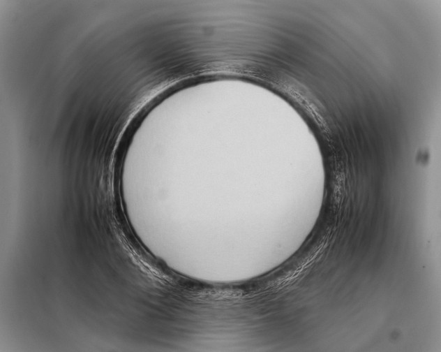 X0000097880884200804110948