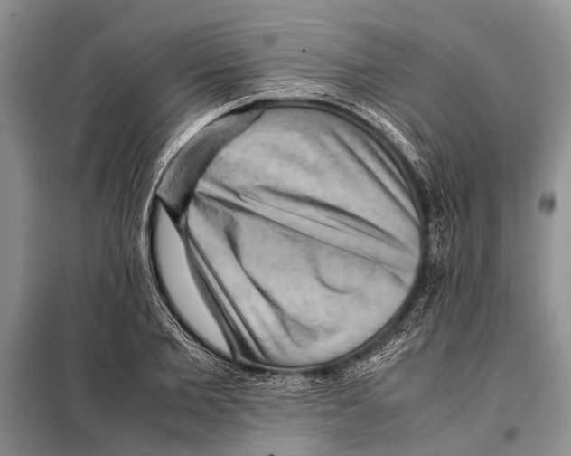 X0000097880885200804110948