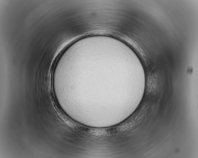 X0000097880886200804110948