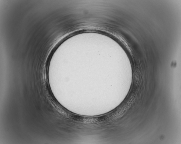 X0000097880887200804110948