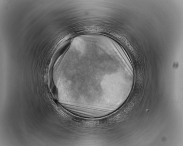 X0000097880889200804110948